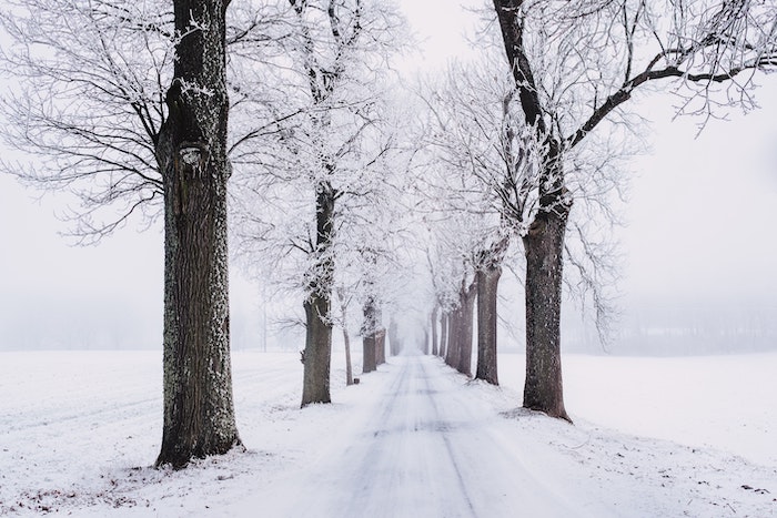 Winterhautpflege in Hannover